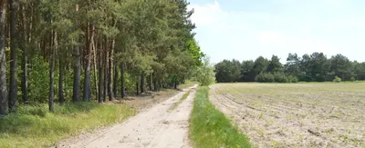 Rzeczoznawca Agata Basałaj Wycena Nieruchomości